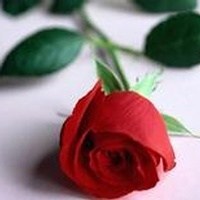 Obituary of Joseph Hamm