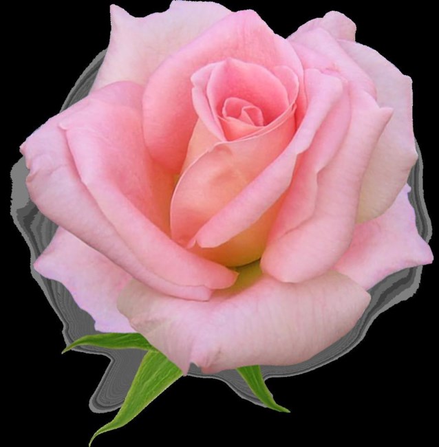 Obituary of Elizabeth Smith Davis