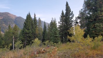 Obituary of Maria Eulalia Lopez-Juarez