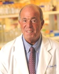 David Epstein Obituary Chatham Ma