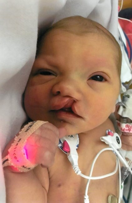 Obituary of Hudsyn Elise Ziegler