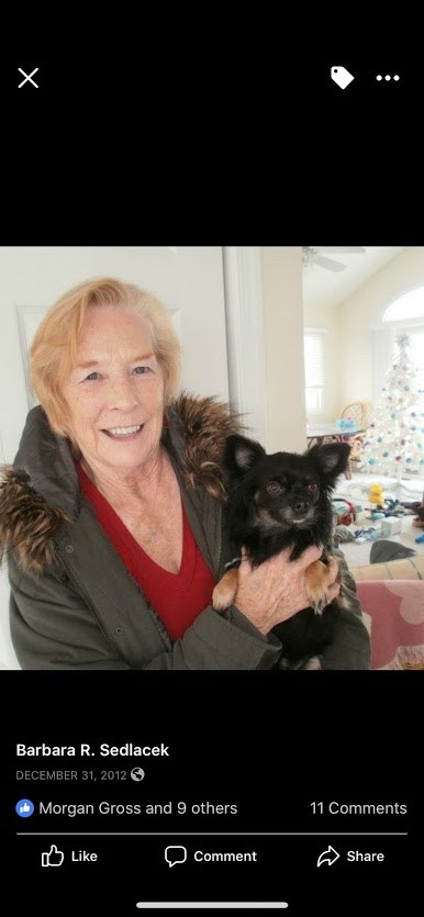 Obituary of Barbara R Sedlacek