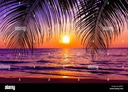 Obituary of Francisco Rolando Herrera