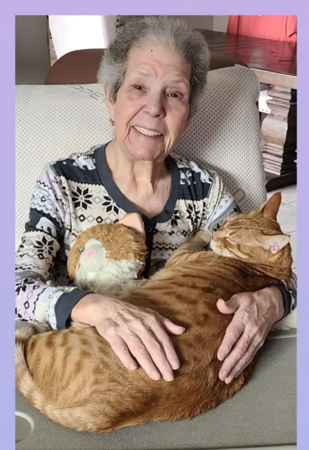 Obituary of Sherrill Louise Harrington