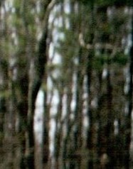 Dennis Brooks Obituary Indianapolis, IN