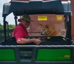 Obituary of Dennis Ivan Heebink