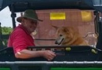 Obituary of Dennis Ivan Heebink