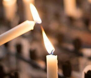 Obituary of Steve Anthony Petter