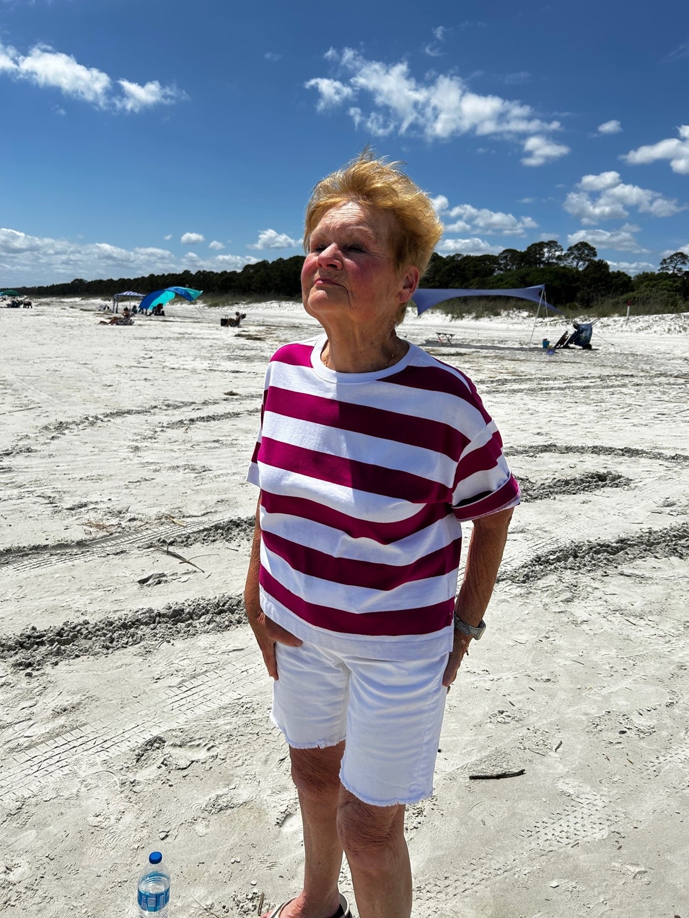 Obituary of Karen Lorenz