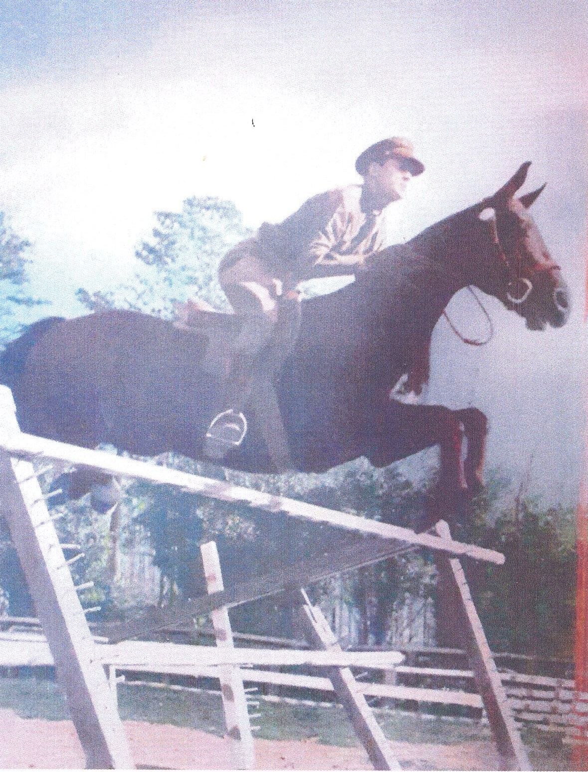 Obituary of Harry N. Flowers