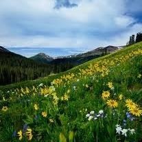 Obituary of Doris A. Mcdonald