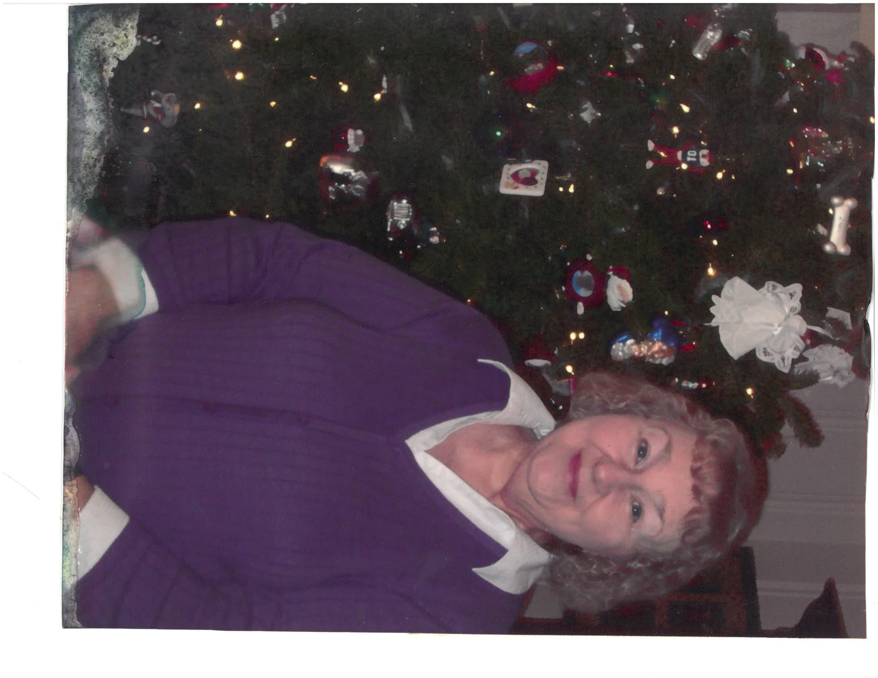 Obituary of Annette Cacciatore