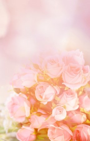 Obituary of Diane Ruth Carter