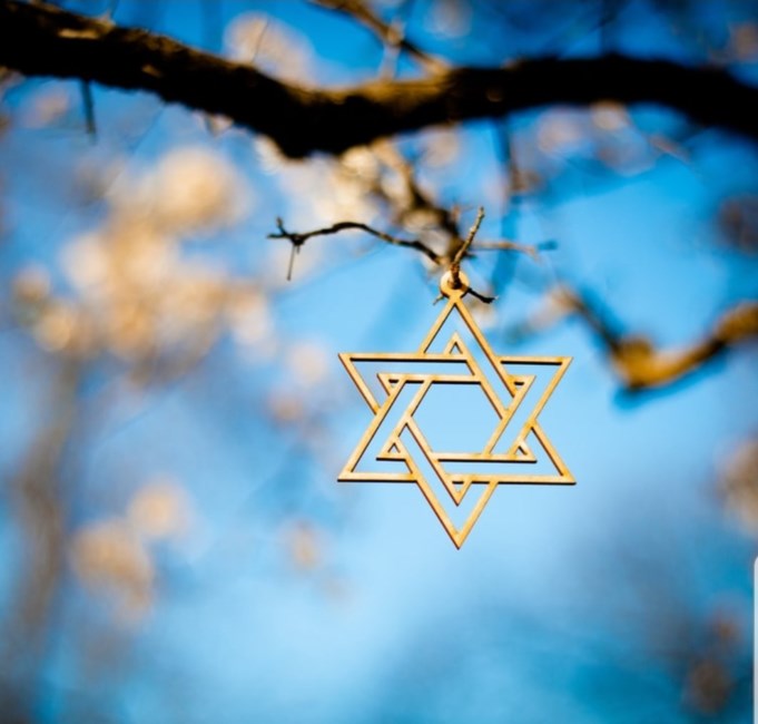 Obituary of Roslyn Goldberg