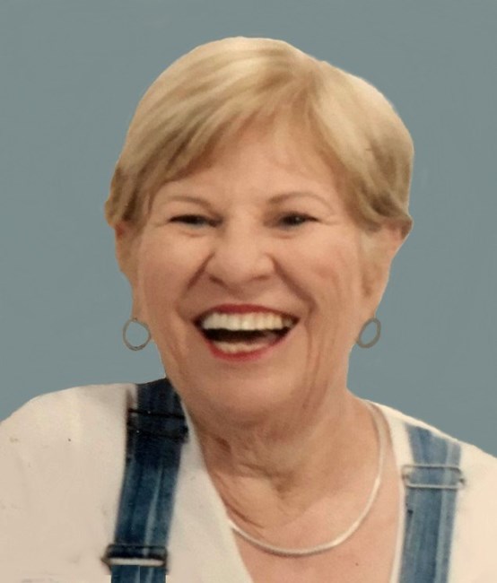 Obituary of Judith "Judi" Leah Freed