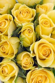 Obituary of Velma Louise Jenkins