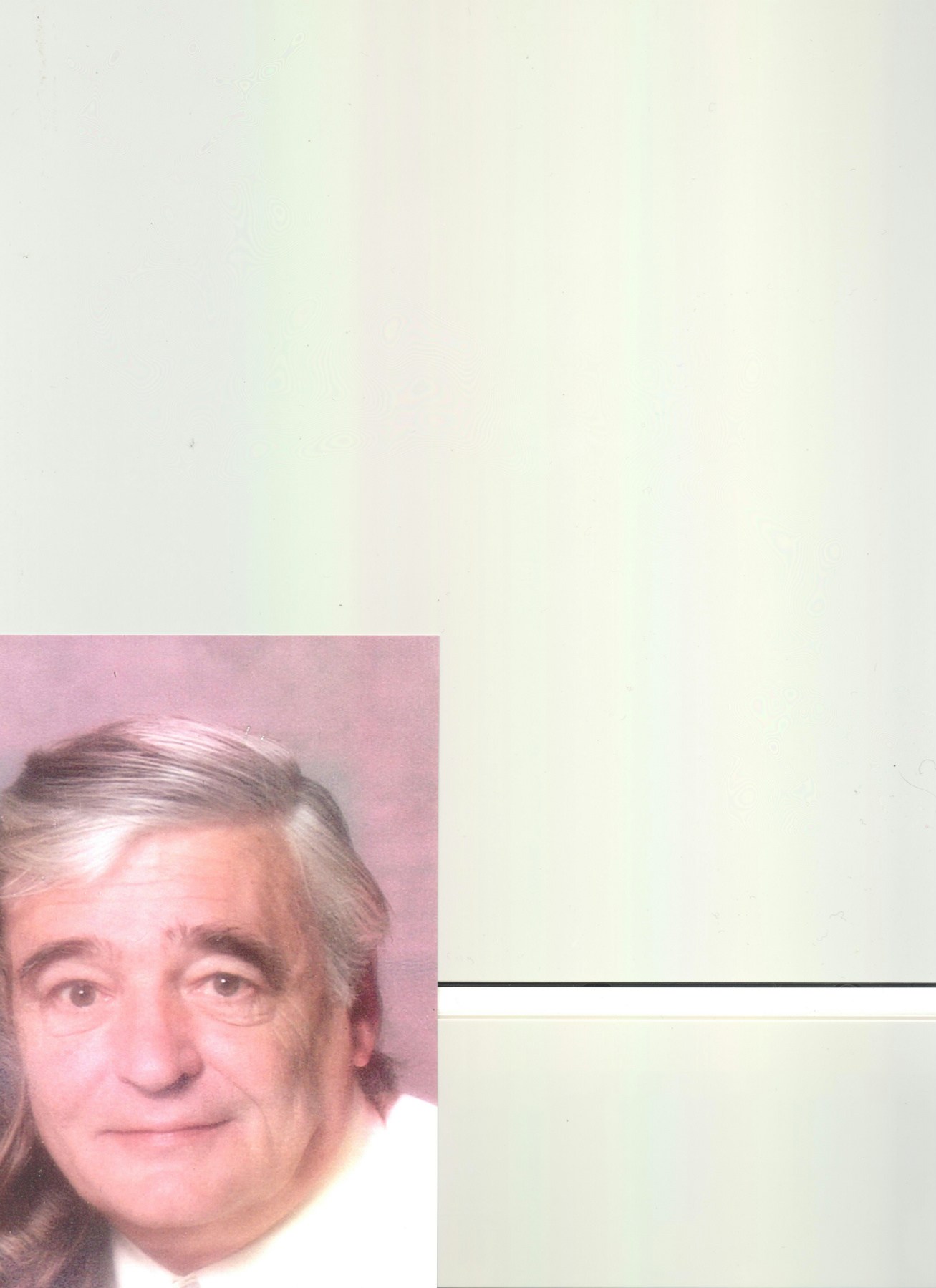 Obituary of George Francis Mehl Jr.