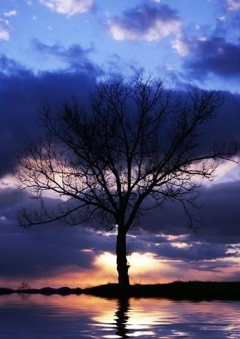 Obituary of Alex A. Romanchuk