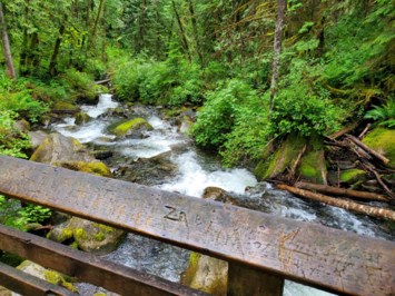 Obituary of Chris Lamb