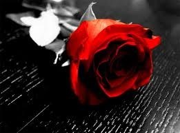 Obituary of Marilyn Reilly Crowley
