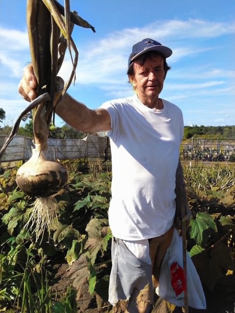 Obituary of Billy Wade Wiley