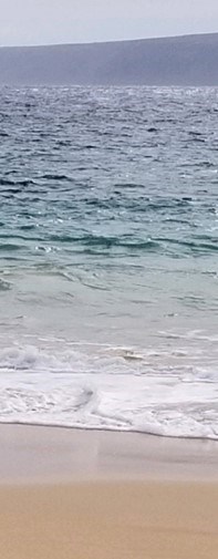 Obituary of Summer Lee Butte