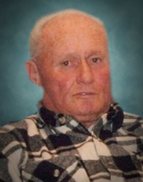 Obituary of Arnold L Rose