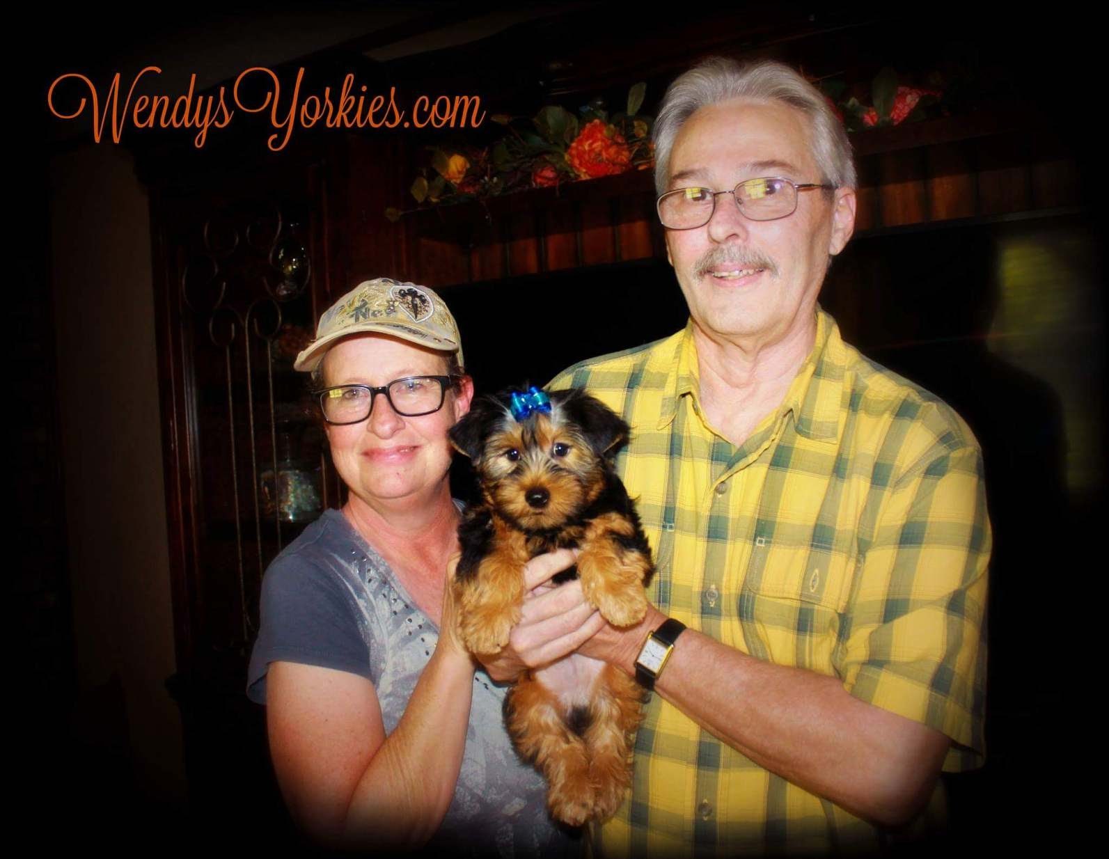 Obituary of Phyllis Bice