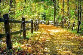 Obituary of Scott Gerald Lush