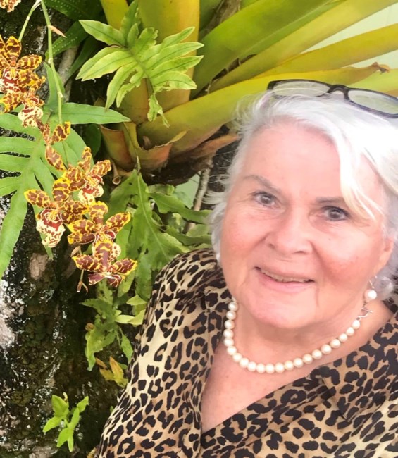 Obituary of Judi Pillow