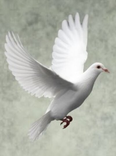 Obituario de Margaret Ford