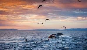 Obituary of Michael Dean Pattison