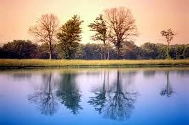 Obituary of Mary Adams Harrell