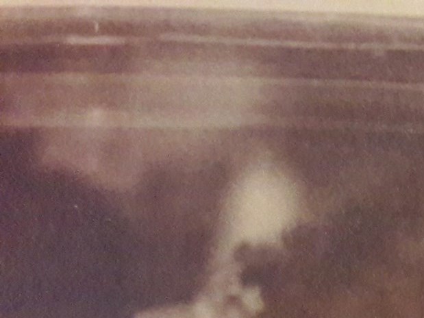 Emily Rimmer Obituary - Webster, TX