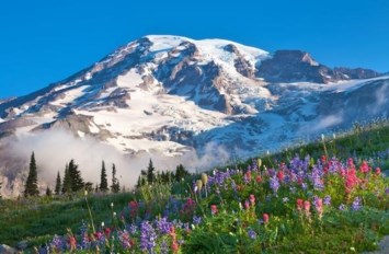 Avis de décès de Ronald Cody Stevens