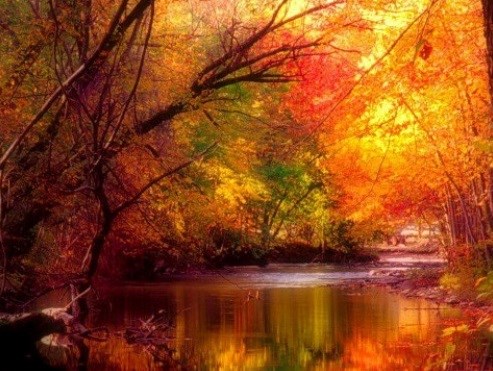 Obituary of Marvin M. Wolf