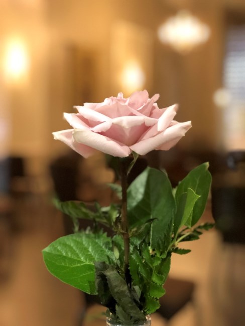 Obituary of Louise Allen Wagstaff