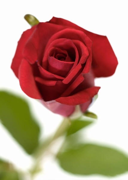 Obituary of Vivian Daniel Mathis