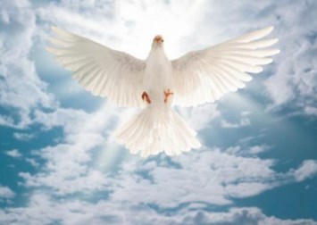 Obituary of Louie Yu