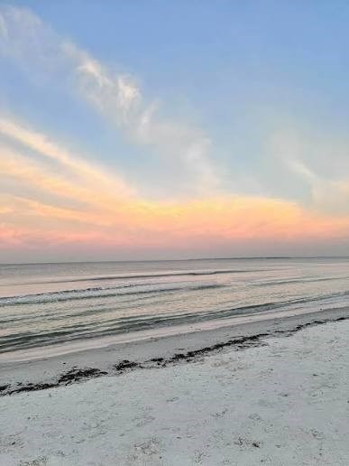 Obituary of Susan Margaret Fuentes