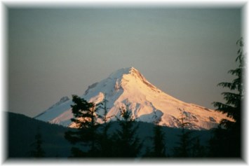 Avis de décès de Wilma C. Jack