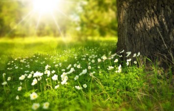 Obituary of Cecil Sylvester Beatty