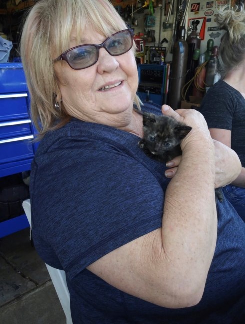 Obituary of Kristi Dee Tietze-Wurm