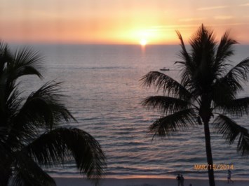 Obituary of Margot Ann Johnson