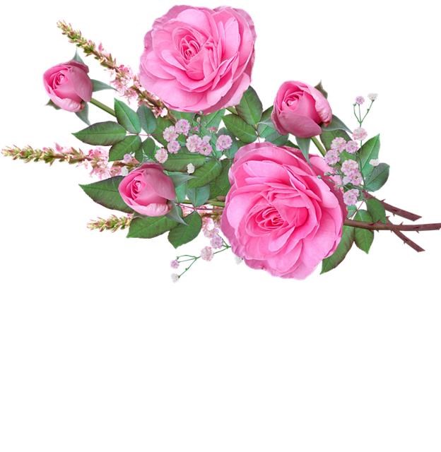 Obituary of Danyelle Thy Hong Truong