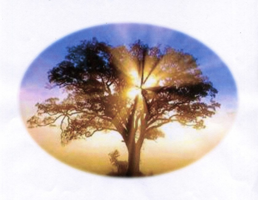 Obituary of John Ralph "Jack" Davis