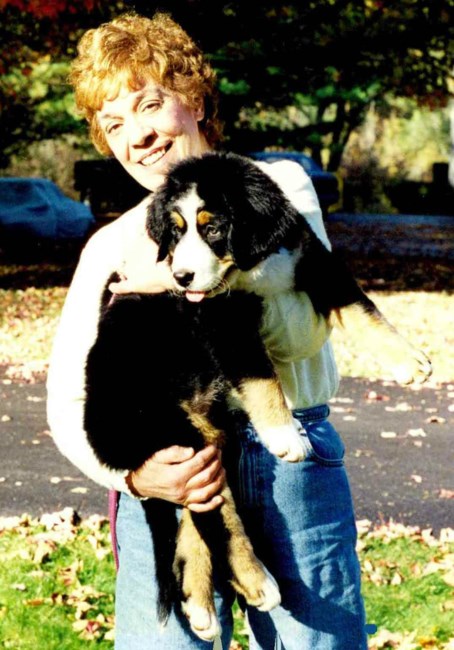 Obituary of Stella D. Gill