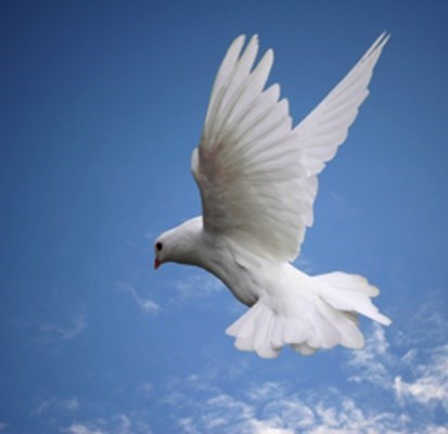 Obituary of Mr. Peter Mills