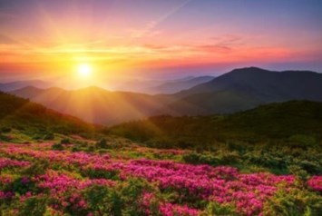 Obituary of Cleveland Thomas Dederer