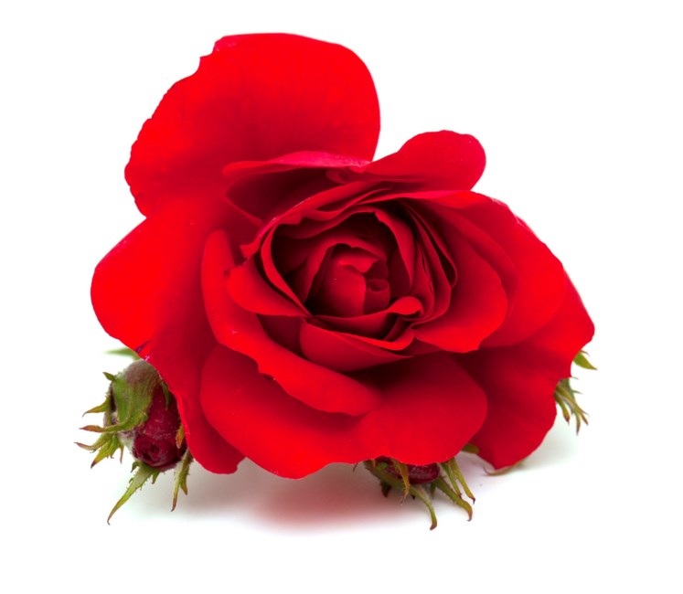 Obituary of Irma Colleen Dixon Valentine